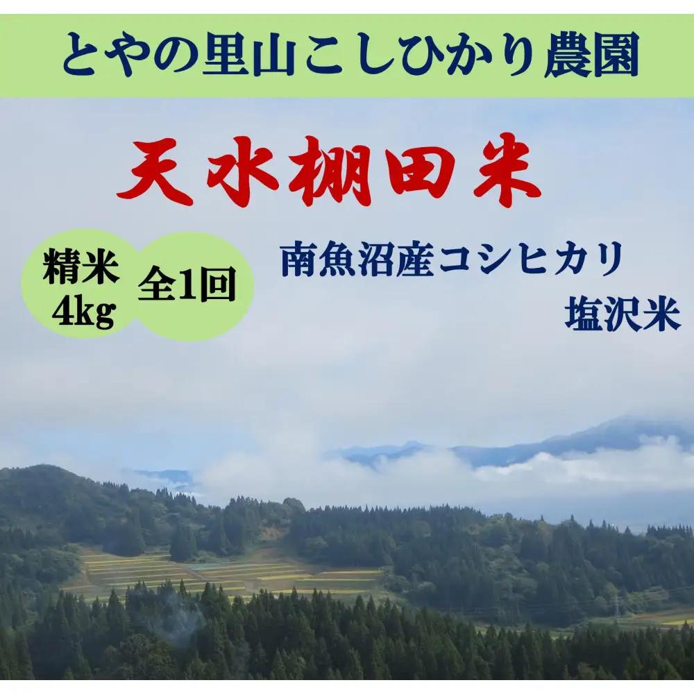 令和8年新米予約【天水棚田米】特別栽培米雪蔵熟成塩沢産コシヒカリ精米4kg1回「とやの里山継承プロジェクト」｜コシヒカリ【2026年10月下旬より順次発送予定】