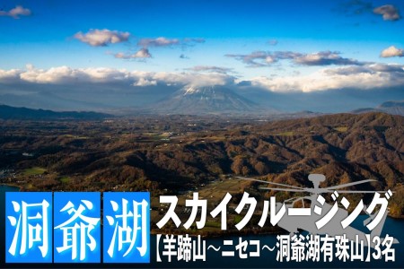 洞爺湖スカイクルージング 体験チケット ヘリコプター 空中散歩 【約50分】【3名様まで】