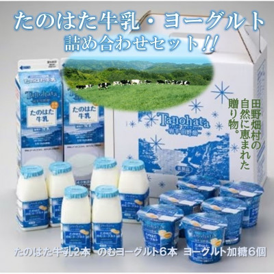 ～岩手県田野畑産の生乳を100%使用～　たのはた牛乳・ヨーグルトセット( TK-3)【配送不可地域：離島】【1273687】