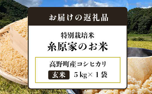 令和8年産 新米（玄米）特別栽培米「糸原家のお米」高野町産コシヒカリ5キロ | 5kg