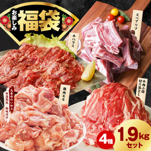 肉福袋 4種 1.9kg 焼肉セット（牛肉 切り落とし／牛ハラミ／豚肉 スペアリブ／鶏肉）【氷温熟成×極味付け 焼くだけ 食べ比べ ふくぶくろ お楽しみ 簡単調理】 mrz0327