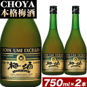 【ふるさと納税】CHOYA 本格梅酒 EXCELLENT エクセレント 750ml × 2本 羽曳野商工振興株式会社《30日以内に出荷予定(土日祝除く)》大阪府 羽曳野市 送料無料 梅酒 梅 酒 CHOYA チョーヤ チョーヤ梅酒 お酒 紀州 南高梅