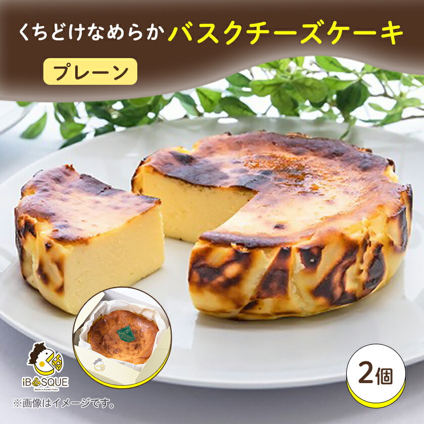 【ふるさと納税】茨木バスクチーズケーキ　ホール　プレーン2個　　【配送不可地域：離島】【1436369】
