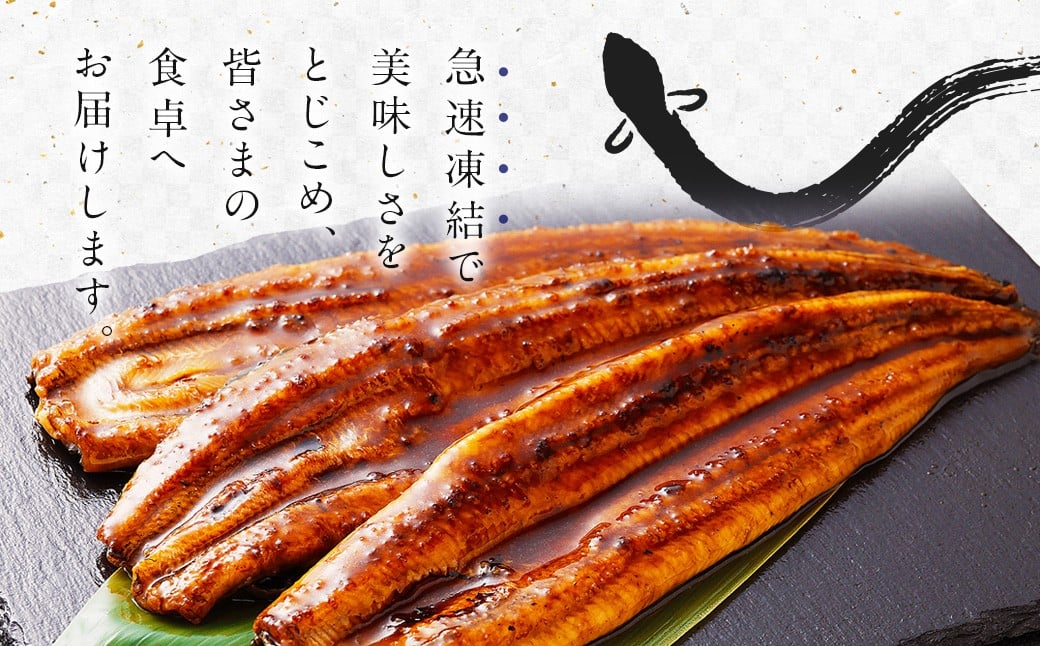 ＜うなぎ蒲焼 4～5尾 計500g以上＞