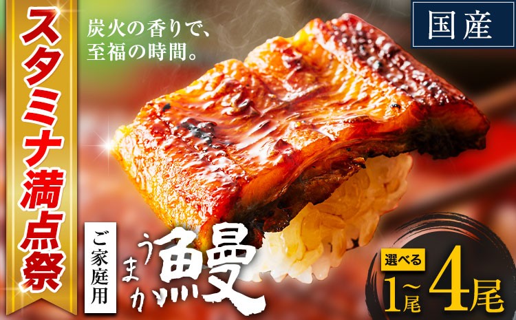 
                  うなぎ ご家庭用 選べる尾数 1尾 2尾 3尾 4尾 国産 ランキング 獲得 鰻 真空パック おすすめ うなぎの蒲焼 《3-7日以内に出荷予定(土日祝除く)》 有頭 ふるさとのうぜい 鶏炭火焼 訳あり 簡易包装 不揃い ウナギ unagi 蒲焼 秋 冬 旬 配送時期 冷凍
                