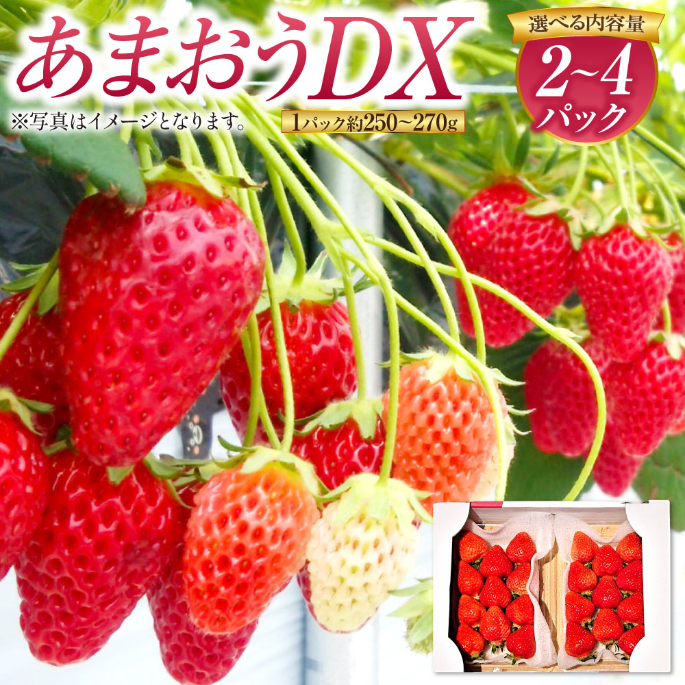 【ふるさと納税】あまおうDX 〈選べる〉 約250-270g×2～4パック 合計約500g～1080g あまおう いちご イチゴ 苺 ストロベリー ベリー フルーツ 果物 春 旬 九州 国産 福岡県産 送料無料【2027年2月上旬～4月下旬発送予定】