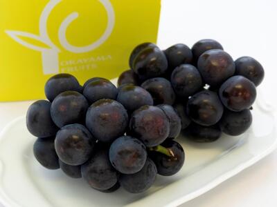 2026年 岡山県産 オーロラブラック 1.2kg（2～3房）（クール便）｜ ぶどう ぶどう