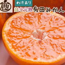 【ふるさと納税】＜1月より発送＞家庭用 越冬完熟みかん5kg+150g（傷み補償分）【ハウスみかん】【わけあり・訳あり】【光センサー選果】 | フルーツ 果物 くだもの 食品 人気 おすすめ 送料無料