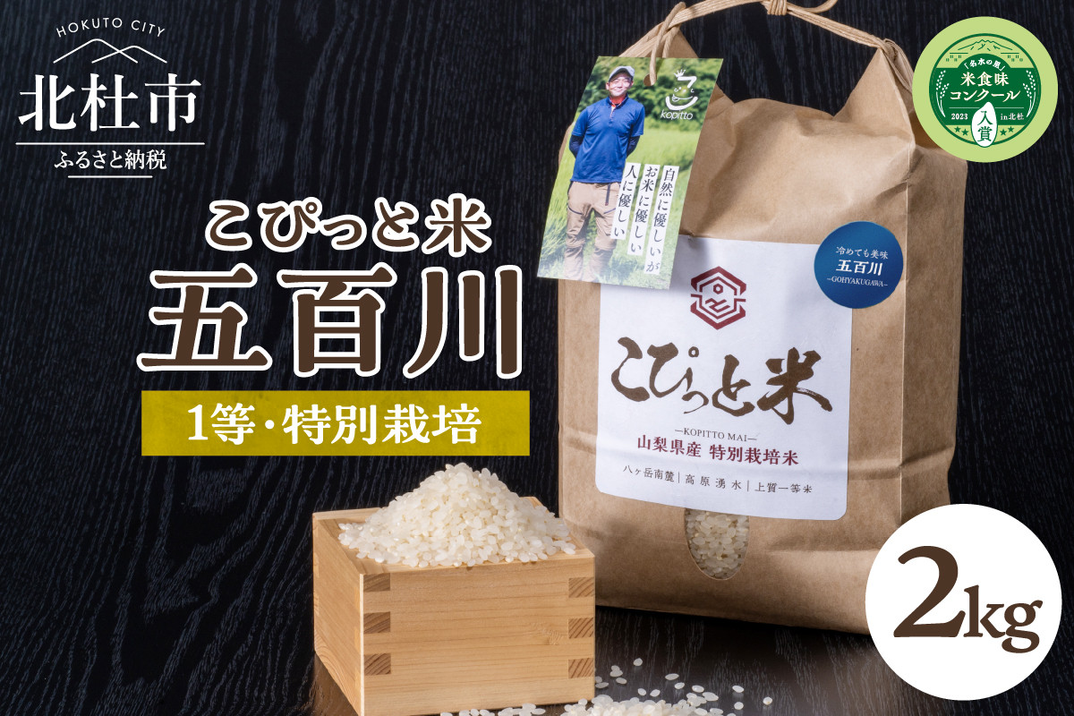 
            【令和7年度新米】【令和7年度米】こぴっと米【五百川】2kg　1等特別栽培米100％  米 精米 早生品種 新米 北杜市産 お米
          