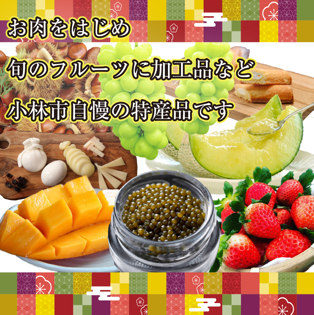 【BT029】【定期便・全12回】新春おたのしみ お年玉コース 金（牛肉 豚肉 鶏肉 フルーツ スイーツ 2026 定期便 先行予約 宮崎 小林市）_イメージ2