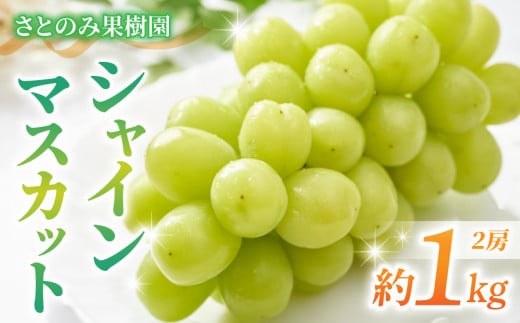【先行受付2026年発送】【さとのみ果樹園】シャインマスカット2房(1kg以上) ※2026年9月中旬～10月下旬順次発送