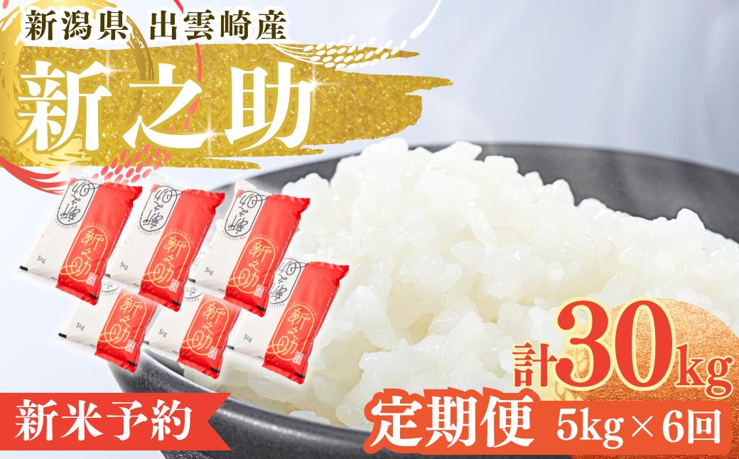 【新米・定期便】お米 令和8年産新米「新之助」 5kg 6か月 新潟県産 出雲崎町産 白米 精米 合計30kg