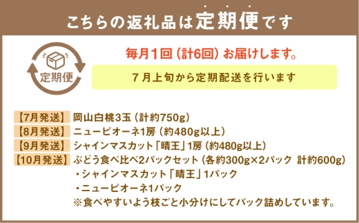 【 全6回定期便 】 岡山県産 フルーツ定期便 ＜ お一人様向け ＞ 白桃 ニューピオーネ シャインマスカット 晴王 果物 くだもの 果実 フルーツ 国産 ぶどう ブドウ 葡萄 もも 桃 モモ 梨 な