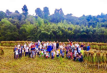 【先着20組限定】令和８年度 大山千枚田『棚田トラスト制度』参加権利　[0107-0001]