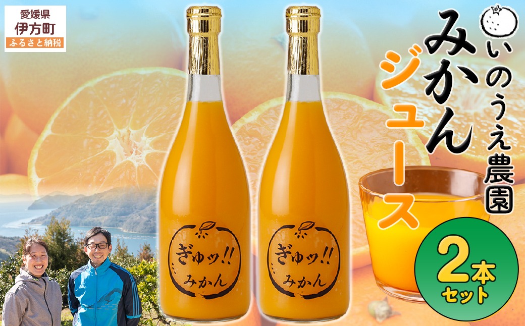 いのうえ農園 みかんジュース2本セット ※離島への配送不可 IKTAI014