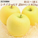 【ふるさと納税】シナノゴールド 訳ありりんご 約5kg （約11～18玉） 《黒岩果樹園》■2024年発送■※10月下旬頃～12月下旬頃まで順次発送予定 果物 フルーツ りんご 訳あり 黄色 林檎 家庭用