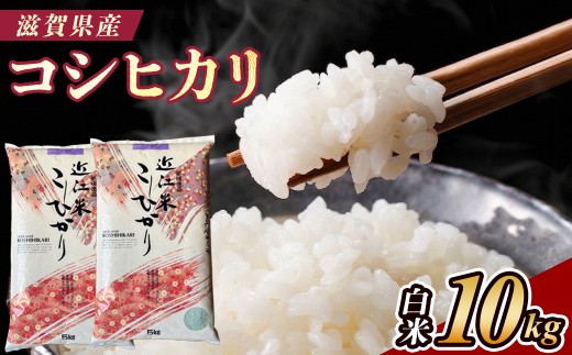 【令和7年産】近江米コシヒカリ白米10kg（5kg×2袋）