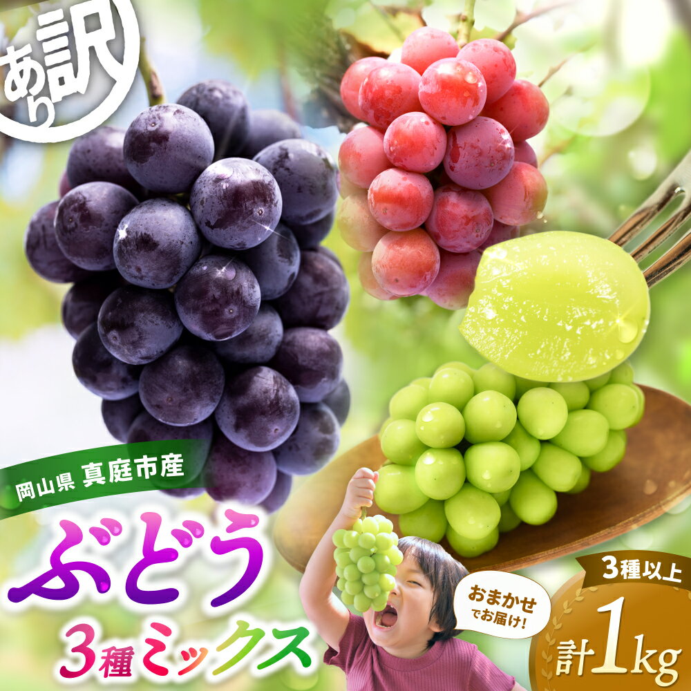 【ふるさと納税】 ぶどう 希少品種も届くかも！ 岡山産 ぶどう詰め合わせ 3種以上 1kg 訳あり（房または粒詰め） 2026年 先行予約 シャインマスカット ピオーネ 食べ比べ フルーツ 果物 粒 瀬戸ジャイアンツ 花笑み農園 送料無料 冷蔵 岡山県 真庭市