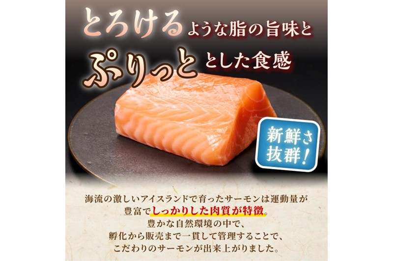 【訳あり】アトランティックサーモン【800g】