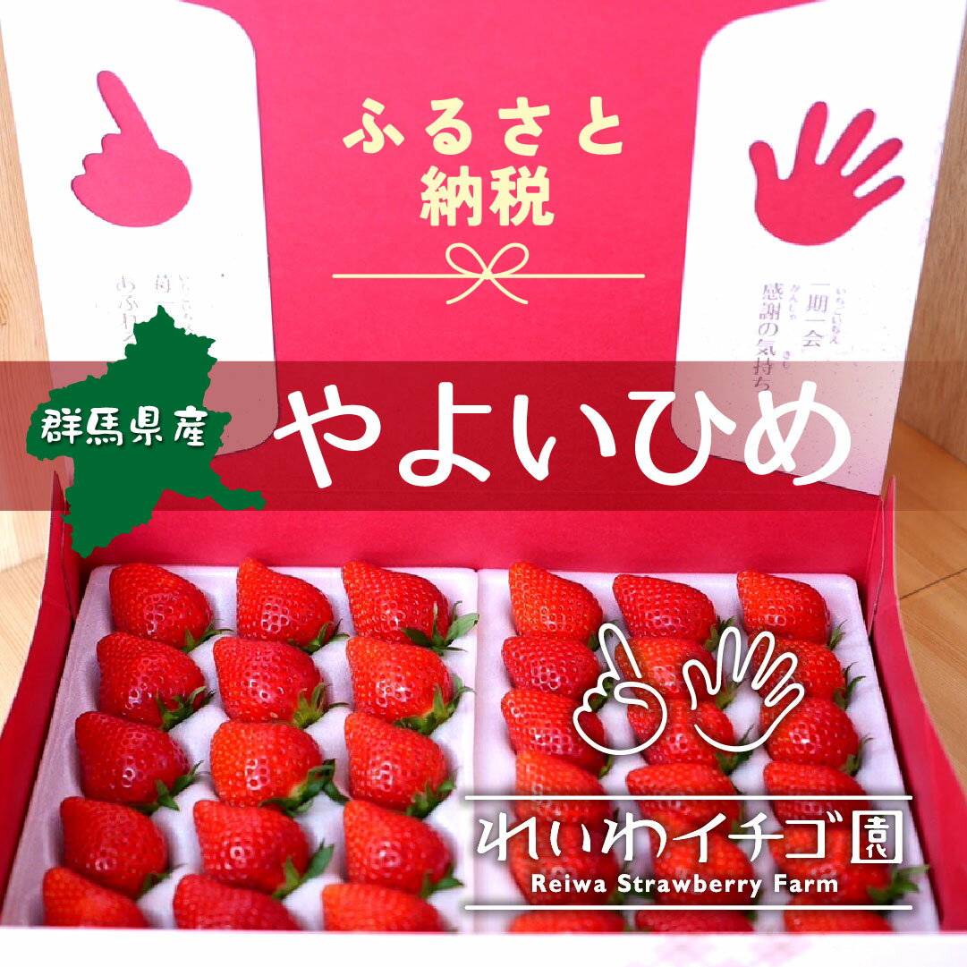 【ふるさと納税】＜2026年 先行予約＞やよいひめ いちご 800g｜ 朝採れ やよいひめ たっぷり 贈答用 新鮮 完熟 いちご 旬 苺 ストロベリー 高級 産地直送 果汁 甘い あまい 人気 高評価 減農薬 有機肥料 生産 生産量 産地 王国 高糖度 プレゼント 群馬県 前橋市