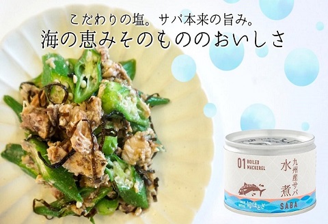 缶詰工場直送　伝統のさば缶「旬ほとぎ」水煮24缶【C3-023】