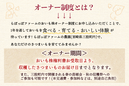 ＜【B】2025年度おいも株オーナー制度1口セット2株 霧島紅かぐら(最低2.4kg保証)+特産品＞2024年12月中旬頃に熟成されたさつまいもときんかんをお届け！【MI187-sh-s-R7】【株式