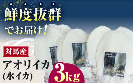 対馬産 アオリイカ 3kg《対馬市》【保家商事】烏賊 いか 刺身 海鮮 冷凍[WAA031]