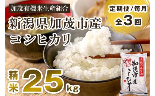 【令和7年産新米先行予約】【定期便3回毎月お届け】新潟県加茂市産コシヒカリ 精米25kg（5kg×5） 《10月中旬から順次出荷 》 白米 加茂有機米生産組合 定期便