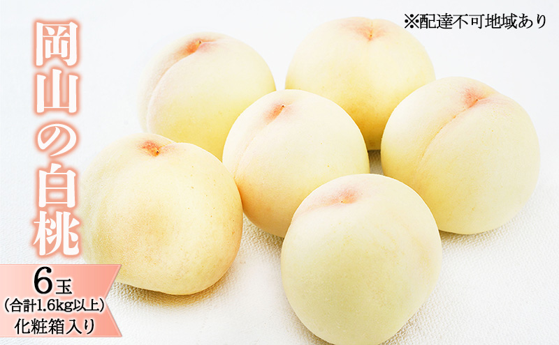 桃 2025年 先行予約 岡山 の 白桃 6玉（合計1.6kg以上）化粧箱入り もも モモ 岡山県産 国産 フルーツ 果物 ギフト デザート 上品な甘み とろける 産地直送 