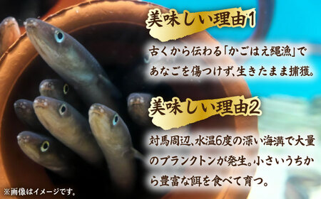 【全12回定期便】骨まで食べる 白焼き あなご （5袋）【うえはら株式会社】穴子 白焼 海鮮 国産 フワフワ 魚介 特産物[WAI077] コダワリ穴子・あなご・アナゴ こだわり穴子・あなご・アナゴ 