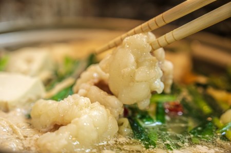 【国産黒毛和牛】特選ホルモン520g　260g×2パック 小分け (07-26)