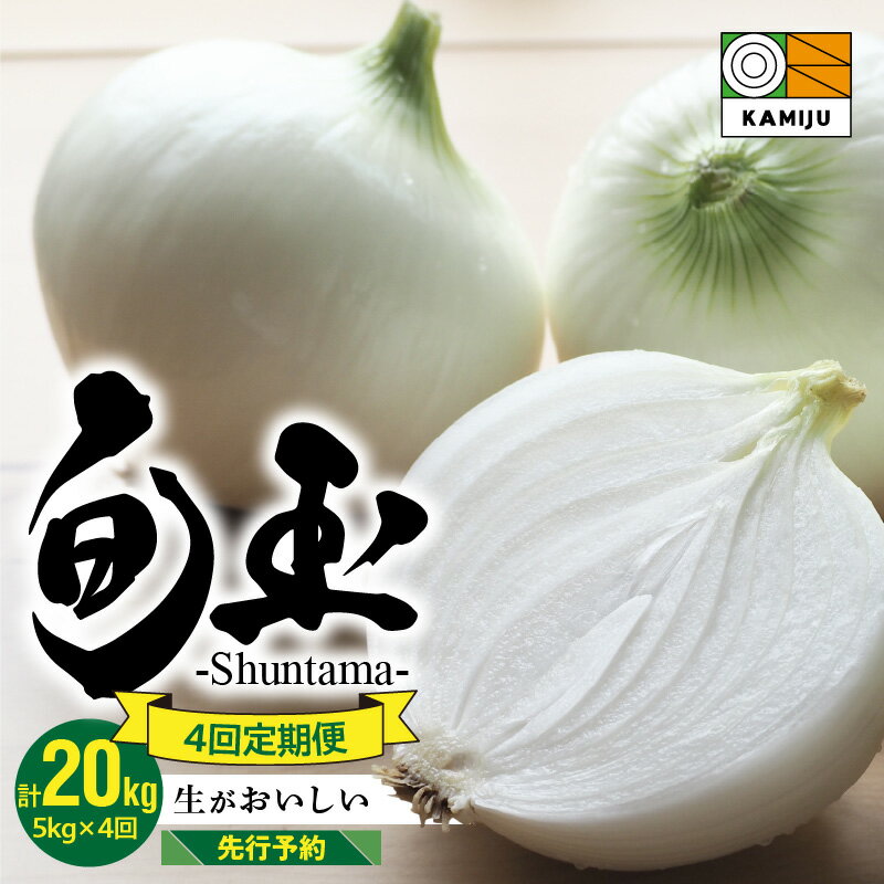 【ふるさと納税】 2026年発送 【先行予約】 とにかく甘い 新玉ねぎ 食べ比べ定期便 計 20kg 生がおいしい 神重農産のブランド玉ねぎ 旬玉 玉ねぎ 定期便 5kg × 4回 国産 ミネラル オニオンスライス 玉ねぎステーキ オニオンスープ 野菜 お取り寄せ 愛知県 碧南市 送料無料