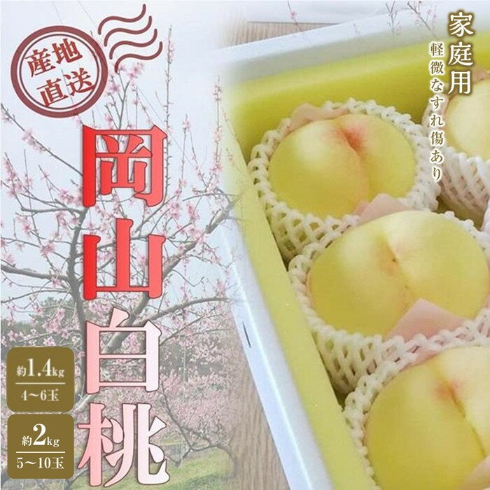 【ふるさと納税】桃 2026年 ご家庭用 岡山 白桃 選べる内容量 約2kg（5～10玉)・約1.4kg（4～6玉） | もも フルーツ 果物 くだもの 食品 人気 おすすめ 送料無料 岡山県 岡山市産