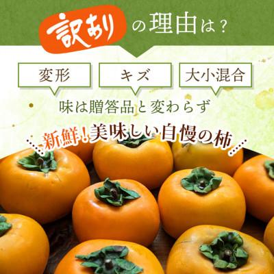 ふるさと納税 かつらぎ町 【先行予約】【訳あり】渋あり たねなし柿 約7kg 和歌山の柿農園「渋柿隊」 |  | 03