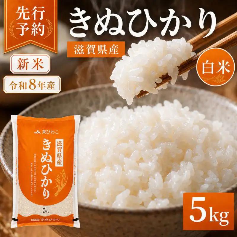 【令和8年産】 米 キヌヒカリ 白米 5kg 新米 きぬひかり 精米 こめ コメ お米 ご飯 5キロ 度産 令和八年 令和八年産 滋賀県 豊郷町