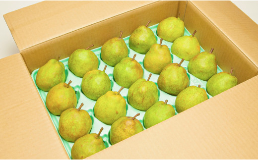 08-06-040　ラ・フランス5kg