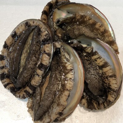 【2ヵ月毎定期便】隔月大型アワビ800gを全3回お届け!【H22-285】全3回【配送不可地域：離島・北海道・沖縄県】【4076446】