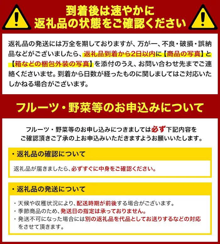＜先行予約！2026年11月中旬以降順次発送予定＞鮮度抜群！ブロッコリー(約2kg) 国産 野菜 ブロッコリー 新鮮 産地直送 【man057】【Aglio nero】