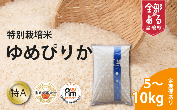 【令和8年産新米　定期便】特別栽培米ゆめぴりか 5kg×6回 北海道当麻町 舟山農産 減農薬 低農薬【AB-044】
