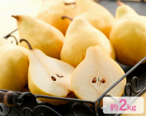 【ふるさと納税】【2026年先行予約】新潟特産 幻の洋梨ル・レクチェ 約2kg《11月下旬〜配送予定》 果物 フルーツ 冬の味覚 産地直送 加茂市 えちご中越農業協同組合