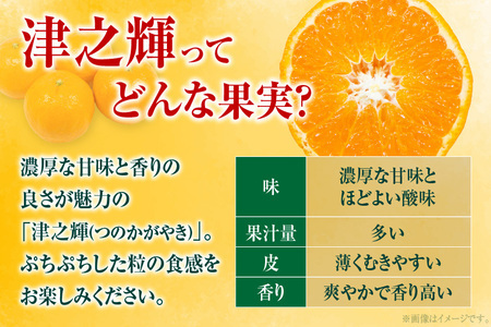 先行予約 津之輝 つのかがやき 6kg以上 (2kg×3箱) 希少 期間限定 数量限定 フルーツ 果物 くだもの 柑橘 みかん 令和8年発送 国産 食品 おすすめ デザート おやつ みかんジュース フ