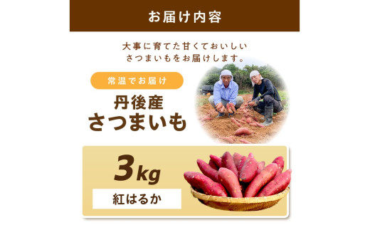 【先行予約】丹後産　さつまいも　紅はるか3kg　2027年1月下旬～配送 お野菜 野菜 正規品 ふるさと納税 さつまいも ふるさと納税 紅はるか べにはるか 甘い　AM00746_01