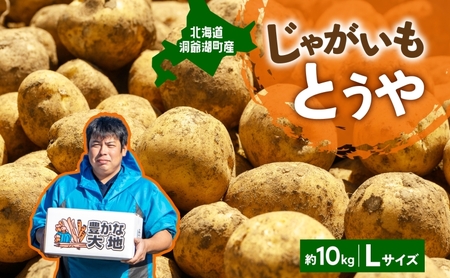 じゃがいも とうや Lサイズ 北海道産 じゃがいも【約10kg】【先行予約】