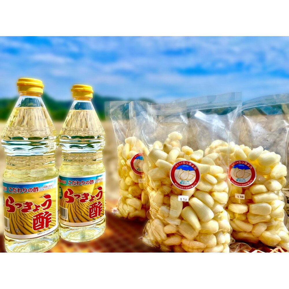 【ふるさと納税】橋本さんちの生洗いらっきょう 3kg (らっきょう酢付) | ふるさと納税 らっきょう らっきょ 辣韭