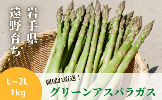 アスパラガス 1kg こんたでぃーの遠野 採れたて 岩手県 遠野市 産 グリーン アスパラ 【 先行予約 2026年5月発送予定 】