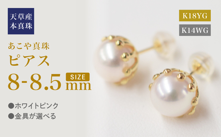 S101-429_あこや真珠 天草 熊本 ピアス ミルククラウン 8mm - 8.5mm 皿 花型 花びら ホワイトピンク