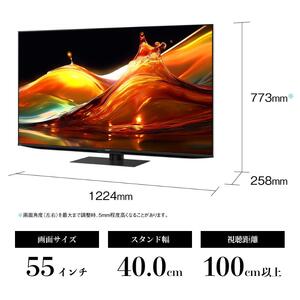 テレビ 55型 4K mini LED 量子ドット液晶テレビ シャープ SHARP AQUOS アクオス 55V型 4T-C55HP1 Google TV YouTube Netflix 内蔵 144
