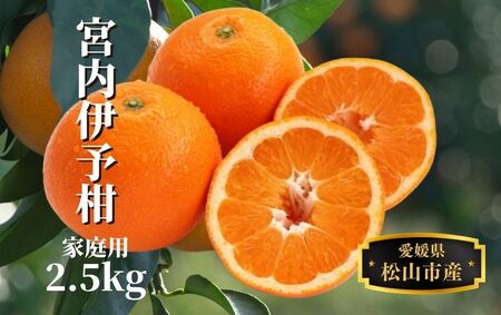 【宮内伊予柑】家庭用 約2.5kg ＜2026年2月-3月中旬頃発送＞柑橘 くだもの フルーツ 愛みかん 愛媛みかん ミカン フルーツ 果物 みかん 柑橘 甘いみかん【PT035_x】