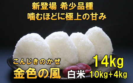 【白米14kg】新登場の高級米 岩手県奥州市産 金色の風 令和6年産 白米14キロ [AC032]