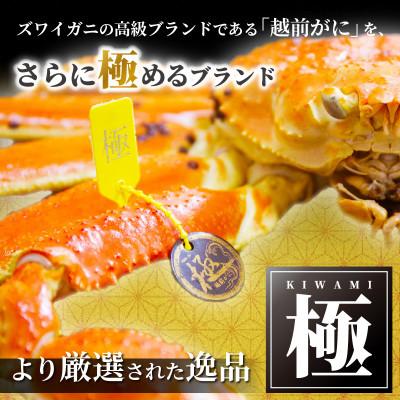 ふるさと納税 越前町 ≪浜茹で≫ 越前がに 極 × 1杯【2月発送分】 |  | 01